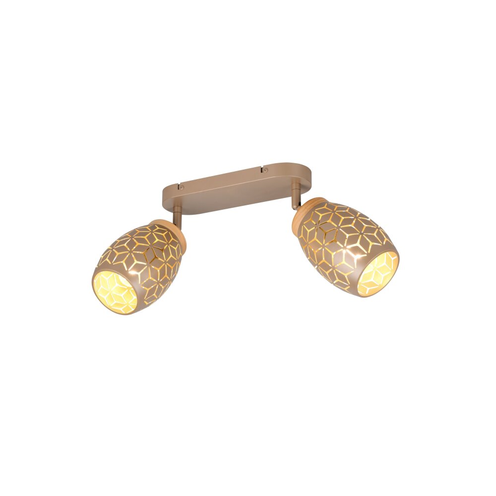 Reality Bidar Deckenspot Braun, 2-flammig main product photo