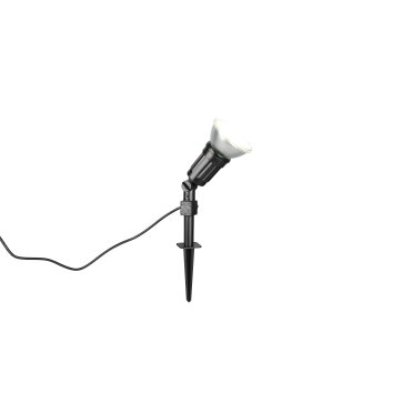 Reality CACERES Gartenstrahler LED Schwarz, 1-flammig