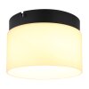 Globo Trenton Deckenleuchte LED Schwarz, 1-flammig