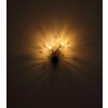 Globo Fiore Wandleuchte Schwarz, 2-flammig