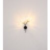 Globo Fiore Wandleuchte Schwarz, 2-flammig