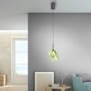 Paul Neuhaus Zula Pendelleuchte LED Braun, 1-flammig