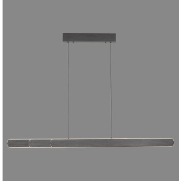 Paul Neuhaus Adriana Round Pendelleuchte LED Schwarz, 2-flammig