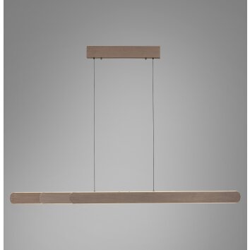Paul Neuhaus Adriana Round Pendelleuchte LED Braun, 2-flammig