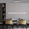 Paul Neuhaus Adriana Round Pendelleuchte LED Aluminium, 2-flammig