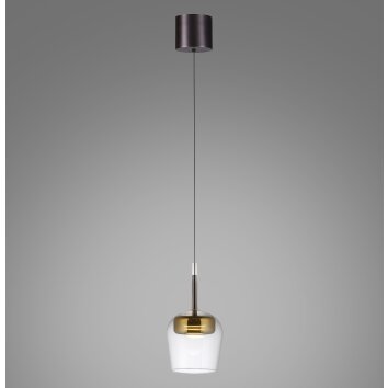 Paul Neuhaus Q-Kon Pendelleuchte LED Braun, 1-flammig, Fernbedienung