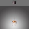 Paul Neuhaus Q-Kon Pendelleuchte LED Braun, 1-flammig, Fernbedienung