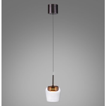 Paul Neuhaus Q-Kon Pendelleuchte LED Braun, 1-flammig, Fernbedienung