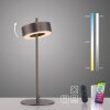 Paul Neuhaus Q-Rotate Tischleuchte LED Braun, 1-flammig, Fernbedienung