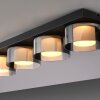 Paul Neuhaus Rika Deckenleuchte LED Schwarz, 4-flammig