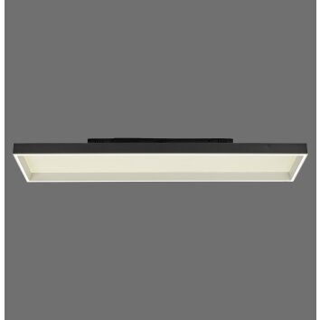 Paul Neuhaus Q-Magong Deckenleuchte LED Schwarz, 1-flammig, Fernbedienung