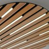 Paul Neuhaus Q-Akustik Wand- und Deckenleuchte LED Braun, Schwarz, 1-flammig, Fernbedienung