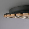 Paul Neuhaus Q-Akustik Wand- und Deckenleuchte LED Braun, Schwarz, 1-flammig, Fernbedienung
