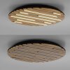 Paul Neuhaus Q-Akustik Wand- und Deckenleuchte LED Braun, Schwarz, 1-flammig, Fernbedienung