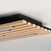 Paul Neuhaus Q-Akustik Wand- und Deckenleuchte LED Braun, Schwarz, 1-flammig, Fernbedienung
