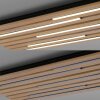 Paul Neuhaus Q-Akustik Wand- und Deckenleuchte LED Braun, Schwarz, 1-flammig, Fernbedienung