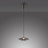 Paul Neuhaus PURE Vitrum Pendelleuchte LED Grau, 2-flammig