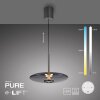 Paul Neuhaus PURE E-Vitrum Pendelleuchte LED Grau, 2-flammig, Fernbedienung