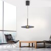 Paul Neuhaus PURE E-Vitrum Pendelleuchte LED Grau, 2-flammig, Fernbedienung