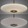 Paul Neuhaus PURE E-Vitrum Pendelleuchte LED Braun, 2-flammig, Fernbedienung