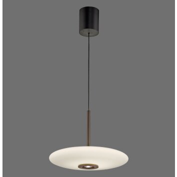 Paul Neuhaus PURE E-Vitrum Pendelleuchte LED Braun, 2-flammig, Fernbedienung