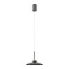 Paul Neuhaus PURE Moon Pendelleuchte LED Grau, 2-flammig