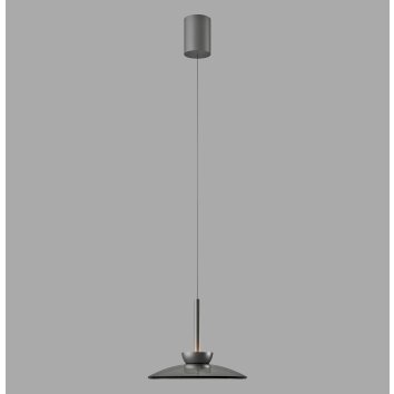 Paul Neuhaus PURE Moon Pendelleuchte LED Grau, 2-flammig