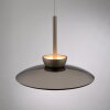 Paul Neuhaus PURE Moon Pendelleuchte LED Bronze, 2-flammig
