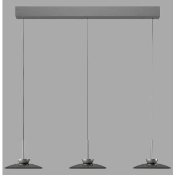 Paul Neuhaus PURE Moon Pendelleuchte LED Grau, 6-flammig