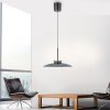 Paul Neuhaus PURE E-Moon Pendelleuchte LED Grau, 2-flammig, Fernbedienung
