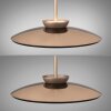 Paul Neuhaus PURE E-Moon Pendelleuchte LED Bronze, 2-flammig, Fernbedienung