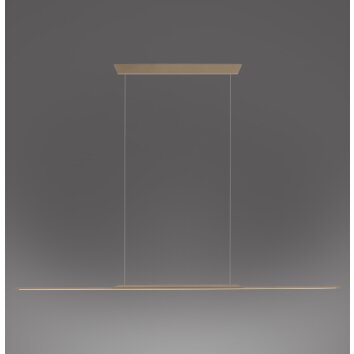 Paul Neuhaus PURE Surface Pendelleuchte LED Bronze, 1-flammig