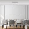 Paul Neuhaus PURE Surface Pendelleuchte LED Grau, 1-flammig
