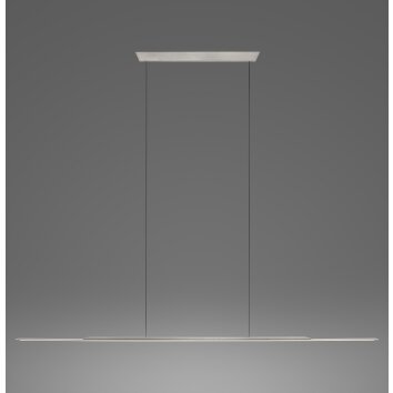 Paul Neuhaus PURE Surface Pendelleuchte LED Grau, 1-flammig