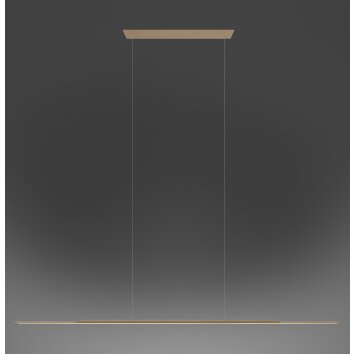 Paul Neuhaus PURE Surface Pendelleuchte LED Bronze, 1-flammig