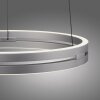 Paul Neuhaus PURE E-Loop Pendelleuchte LED Silber, 2-flammig, Fernbedienung
