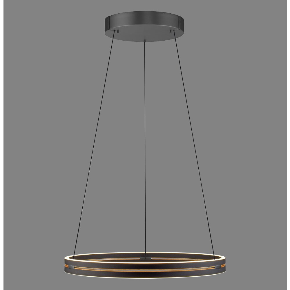 Paul Neuhaus PURE E-Loop Pendelleuchte LED Schwarz, 2-flammig, Fernbedienung main product photo