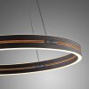 Paul Neuhaus PURE E-Loop Pendelleuchte LED Schwarz, 2-flammig, Fernbedienung Paul Neuhaus PURE E-Loop Pendelleuchte LED Schwarz, 2-flammig, Fernbedienung