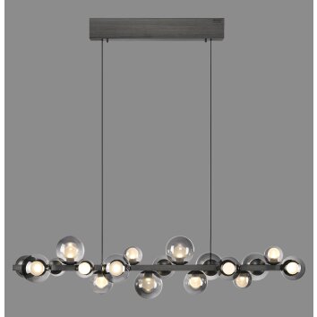 Paul Neuhaus PURE E-Popup Pendelleuchte LED Grau, 18-flammig, Fernbedienung