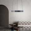Paul Neuhaus PURE E-Clipse Pendelleuchte LED Grau, 2-flammig, Fernbedienung
