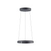 Paul Neuhaus PURE E-Clipse Pendelleuchte LED Grau, 2-flammig, Fernbedienung