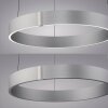 Paul Neuhaus PURE E-Clipse Pendelleuchte LED Silber, 2-flammig, Fernbedienung