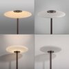 Paul Neuhaus PURE Vitrum Stehleuchte LED Braun, 2-flammig