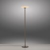Paul Neuhaus PURE Vitrum Stehleuchte LED Braun, 2-flammig