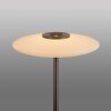 Paul Neuhaus PURE Vitrum Stehleuchte LED Braun, 2-flammig