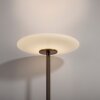 Paul Neuhaus PURE Vitrum Stehleuchte LED Braun, 2-flammig