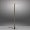 Paul Neuhaus PURE Vitrum Stehleuchte LED Braun, 2-flammig