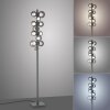 Paul Neuhaus PURE Popup Stehleuchte LED Grau, 12-flammig