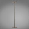 Paul Neuhaus PURE Moon Stehleuchte LED Bronze, 2-flammig