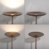 Paul Neuhaus PURE Moon Stehleuchte LED Bronze, 2-flammig